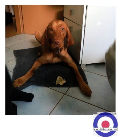 Serie - VIVIAN in der Wanne - Gera - 20. September 2022 (16).JPG